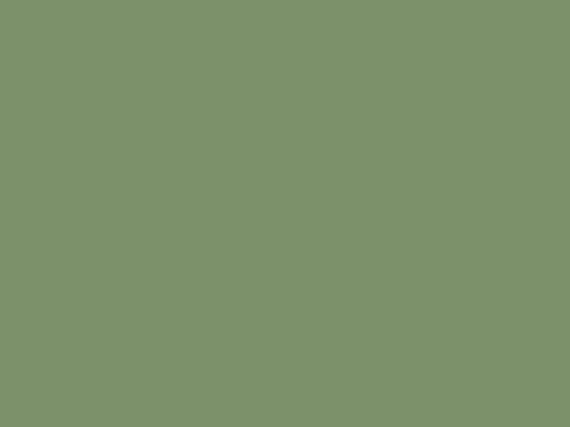 Краска фасадная Rhenocryl Deckfarbe 93C RAL 6011 шелковисто-глянцевая, 1л. RHF0023/01 (attach1 18238)