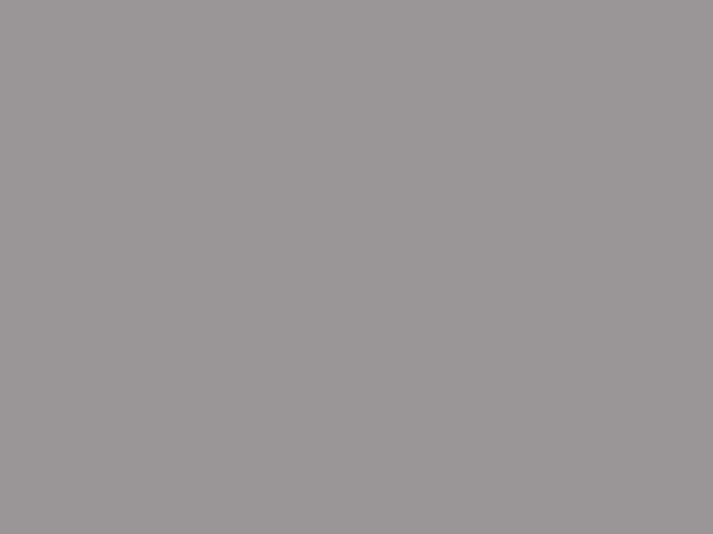 Краска фасадная Rhenocryl Deckfarbe 93C RAL 7036 шелковисто-глянцевая, 1л. RHF0044/01 (attach1 17848)